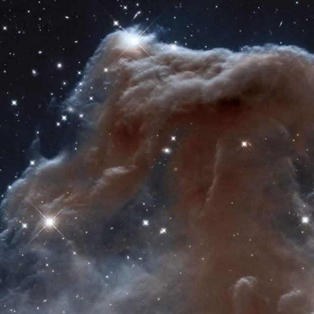 Autogenerated Static Web Page With Bun & Typescrip